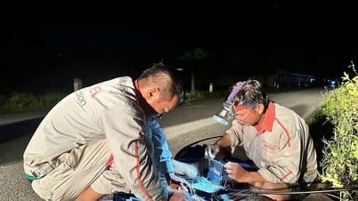 تركز شركة فيتيل كل جهودها على إصلاح المشاكل بعد العاصفة رقم 5