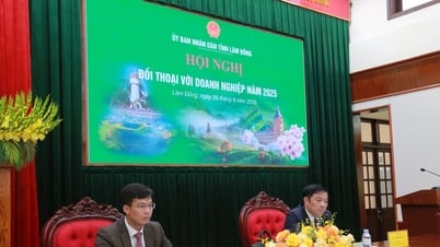 Dialogue conference with businesses in 2025 at Dak Nong bridge point (old)
