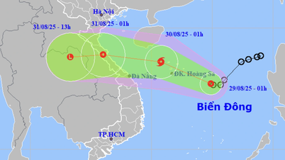 Những khu vực nào bị ảnh hưởng bởi cơn bão dự kiến sắp hình thành?