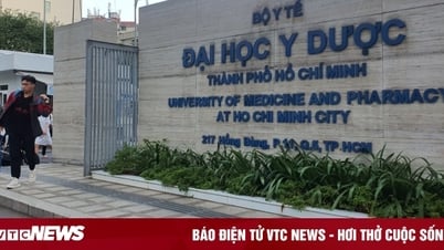 315 thí sinh xét tuyển vào Đại học Y Dược TP.HCM phải cung cấp minh chứng IELTS