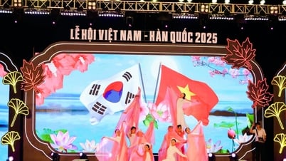 Du khách ấn tượng về Lễ hội Việt Nam - Hàn Quốc năm 2025