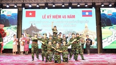 Binh đoàn 678 kỷ niệm 45 năm lên đường nhập ngũ giúp bạn Lào