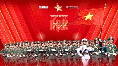 Hai concert quy mô quốc gia: Bước chuyển thúc đẩy công nghiệp văn hóa