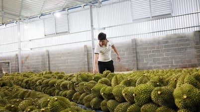 Phát huy vai trò đầu tàu của doanh nghiệp