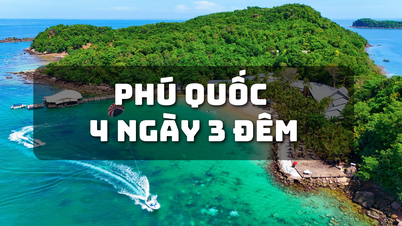 Du lịch Phú Quốc 4 ngày 3 đêm: Lịch trình chi tiết & chi phí