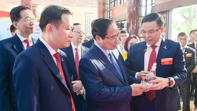 'Lịch sử đặt chúng ta vào cuộc đối đầu chưa từng có tiền lệ', và cách Petrovietnam 'vượt bão'