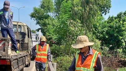 Rào đóng hộ lan bị tháo dỡ trái phép trên quốc lộ 1A qua xã Thăng Bình