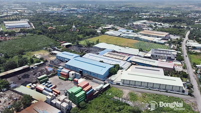 Trước thời điểm thực hiện cưỡng chế, 4 cơ sở tự nguyện tháo dỡ công trình vi phạm ở khu vực hơn 72ha tại phường Phước Tân