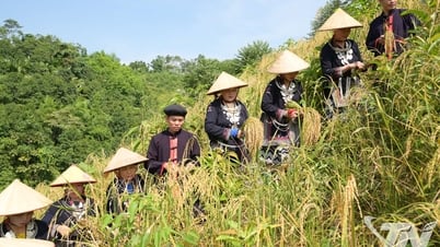 Bản Ca vang điệu Páo Dung