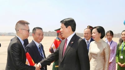 Chủ tịch nước Lương Cường đến thủ đô Cairo, bắt đầu thăm cấp nhà...