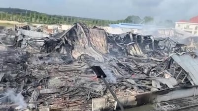 2 nhà xưởng 11.000 mét vuông bị thiêu rụi, thiệt hại ước tính 9 tỉ đồng