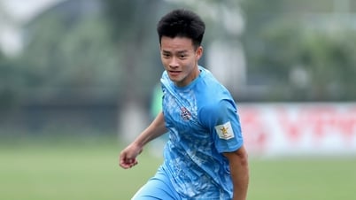Tân binh V-League 2025-2026, CLB PVF-CAND là đội nào?