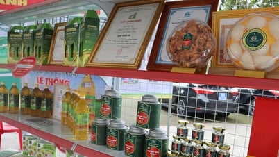 Nam Thành kỳ vọng vươn lên từ tiềm năng, lợi thế của địa phương