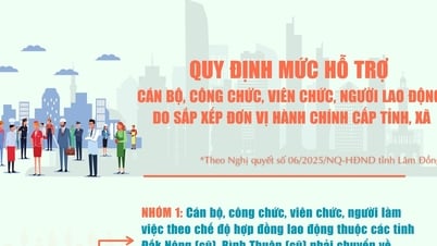 Cán bộ đến Lâm Đồng công tác được hỗ trợ tối đa 70 triệu đồng