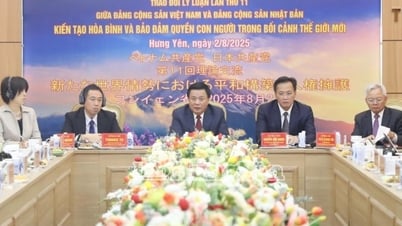 Đảng Cộng sản Việt Nam và Đảng Cộng sản Nhật Bản trao đổi lý luận lần thứ 11