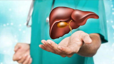 Đẩy mạnh tầm soát giúp phòng ngừa ung thư gan