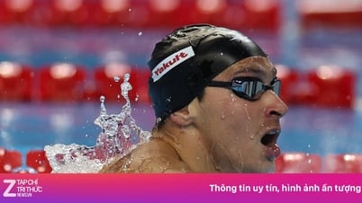 Đội bơi Mỹ đang ‘mất lái’