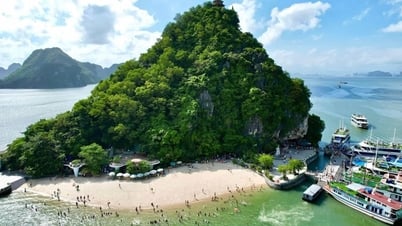 Du lịch Hạ Long 3 ngày 2 đêm: Vui chơi thả ga, chi phí rẻ