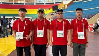4/4 học sinh giành huy chương, Việt Nam đứng Top 8 Olympic Tin học quốc tế 2025