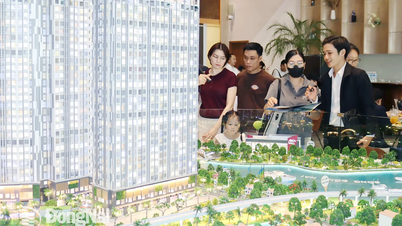 300 căn hộ tại phường Biên Hòa ưu tiên bố trí cho cán bộ, công chức sau sáp nhập tỉnh