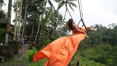 Ruộng bậc thang ở Bali có gì thu hút khách Tây đến thế?