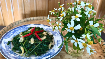 Món ngon từ xuyến chi