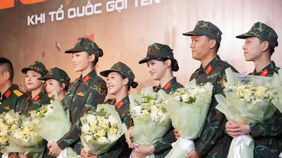 Sao Nhap Ngu 2025 brings together 30 artists, promising a "transformation" in content
