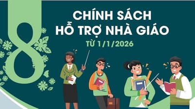 8 chính sách hỗ trợ nhà giáo từ 1/1/2026