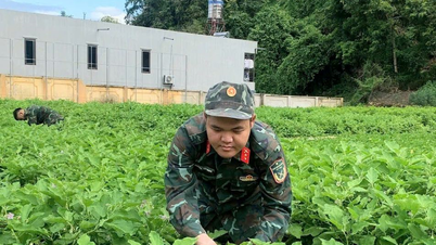 Nguyễn Việt Hưng - Chiến sĩ “Triệu view”