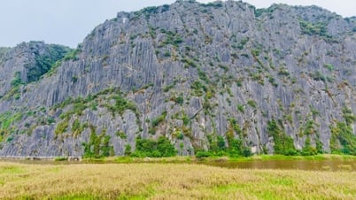 កោតសរសើរ "គំនូរធម្មជាតិ" ដ៏ធំបំផុតនៅវៀតណាម