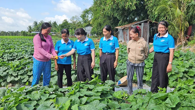 Gắn kết, giúp nhau vươn lên trong cuộc sống