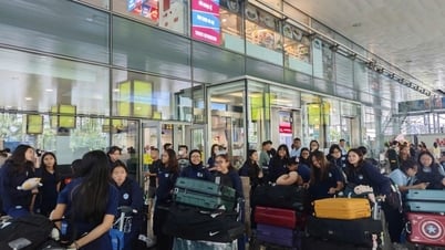 Đội tuyển U20 nữ Singapore đến Hà Nội dự vòng loại U20 nữ châu Á 2026
