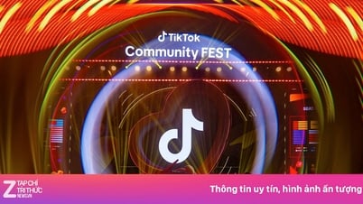 TikTok LIVE kèn cựa YouTube