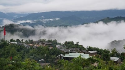 Trải nghiệm huyền thoại sâm Ngọc Linh trên đất Trà Tập