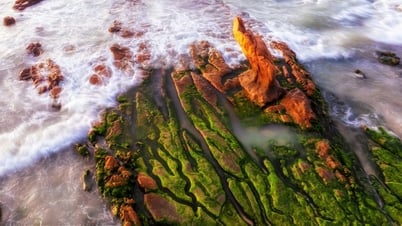 Làng chài 'vô danh', biển xanh, cát trắng, ít người biết ở Lâm Đồng