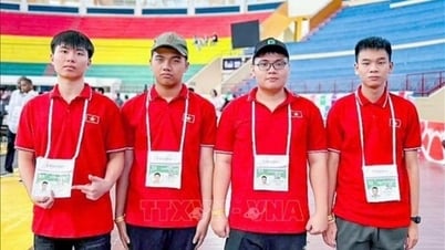 Bốn học sinh Việt Nam giành huy chương tại Olympic Tin học quốc tế 2025