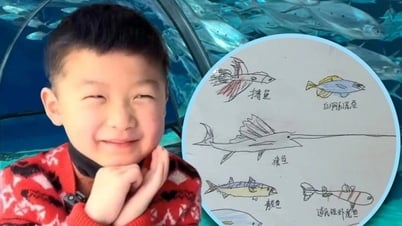 Chuyện cảm động về cậu bé viết thư hỏi thăm những chú cá “mất tích”