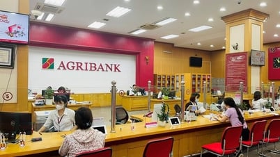 Lãi suất ngân hàng Agribank tháng 8/2025: Giữ ổn định, cao nhất 4,8%/năm cho khách hàng cá nhân