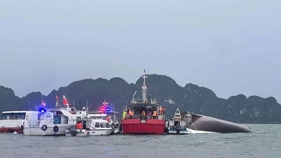 Vụ lật tàu ở vịnh Hạ Long: Số tiền bồi thường, chi trả bảo hiểm mới nhất