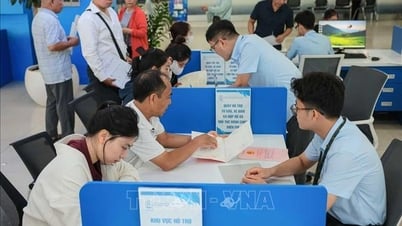 Giảm 44/425 ngày thực hiện thủ tục đăng ký đất đai