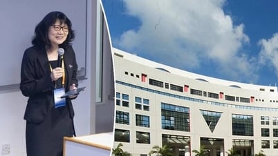 Các trường đại học tại Hong Kong thu hút thành công nhân tài quốc tế