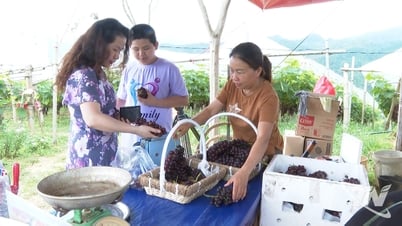 Trao quyền kinh tế cho phụ nữ vùng cao