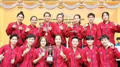 Cầu mây Việt Nam nỗ lực khẳng định vị thế