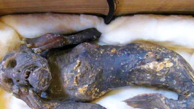 Mystery of 300-year-old Japanese mermaid mummy