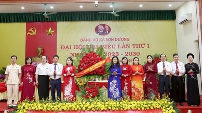 Join hands and determination to build Son Duong commune to develop comprehensively