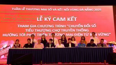 Da Nang: Supporting small traders in digital transformation and e-commerce connection