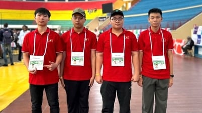 Học sinh Việt Nam giành 1 Huy chương Vàng Olympic Tin học quốc tế năm 2025