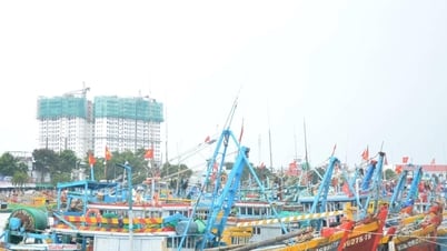 Um grande gargalo foi removido para inspeção e registro de milhares de barcos de pesca na província de Lam Dong.