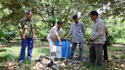 Đắk Lắk đầu tư hơn 8,3 tỷ đồng đào tạo nghề cho lao động nông thôn