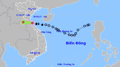 La tormenta No. 6 se ha debilitado a depresión tropical.